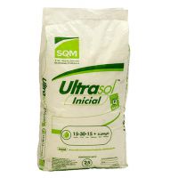 Bao PP Tráng Trong